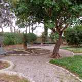 Intorno all�immobile si estendono poi vasti e rigogliosi giardini. Uno presenta aiuole circolari, quadrilobate e �a stella�...